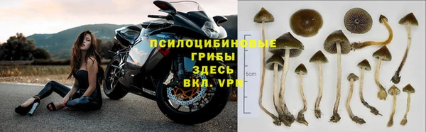дживик Балабаново