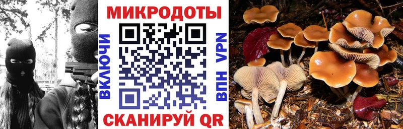 Псилоцибиновые грибы мицелий  мега сайт  Белая Калитва 